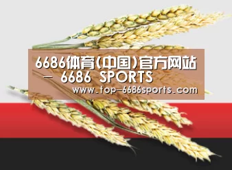 6686体育(中国)官方网站 - 6686 SPORTS